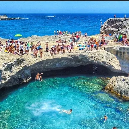 Tony's Apartman Surbo